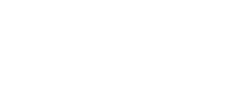 Mungun Bat Trade